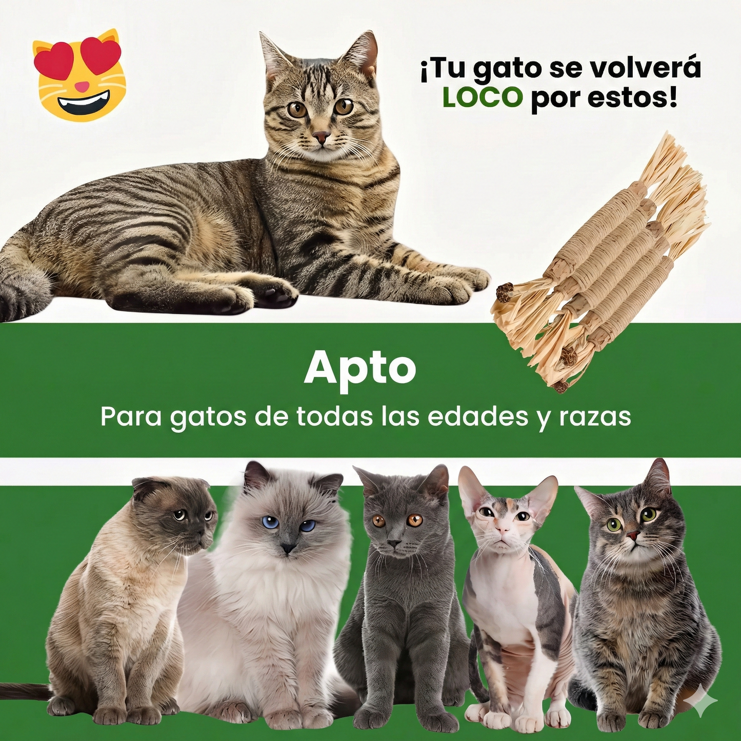 Purrify™ Palitos Dentales Naturales de Silvervine