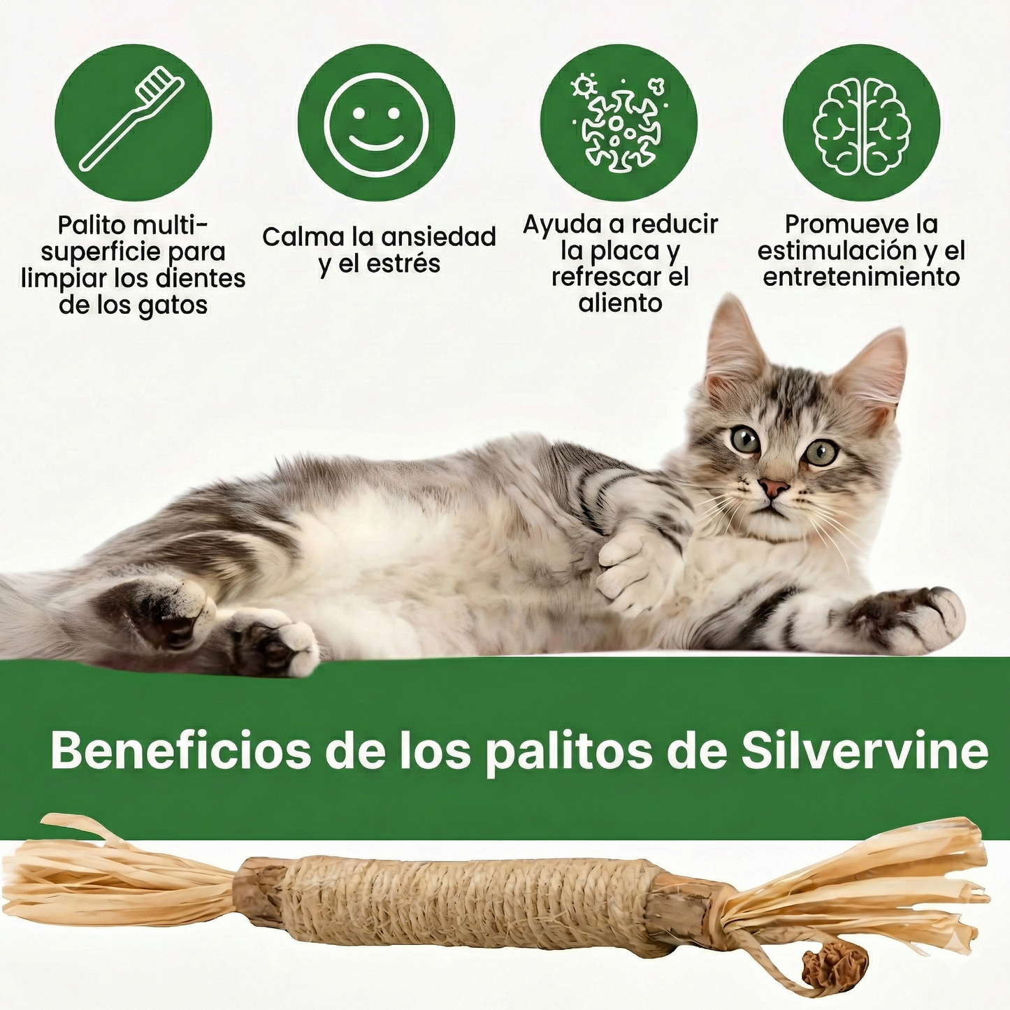 Purrify™ Palitos Dentales Naturales de Silvervine